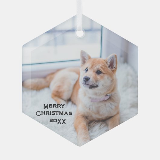 Cute Dog Photo Glass Ornament Kerstmis Feestdagen (Voorkant)