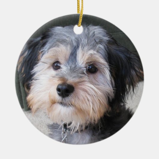 Cute Dog Photo Lijst - DUBBELZIJDIG Keramisch Ornament (Voorkant)