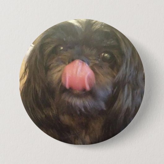 Cute dog pin, en de tong zegt het allemaal ronde button 7,6 cm (Voorkant)