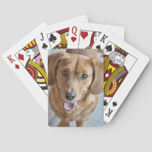 Cute Dog Pokerkaarten