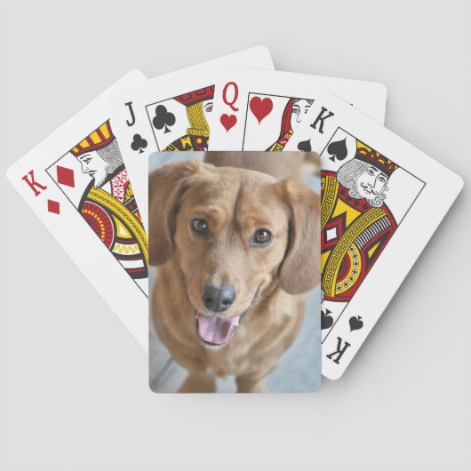 Cute Dog Pokerkaarten (Achterkant)