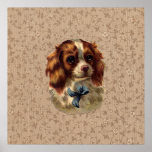 Cute  Dog Print