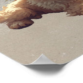 Cute Dog Print, Value Poster Paper (Semi-Gloss) (Hoek)