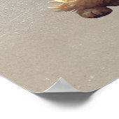 Cute Dog Print, Value Poster Paper (Semi-Gloss) (Hoek)