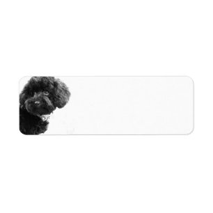 Cute Dog Puppy Black en White l Photography Etiket