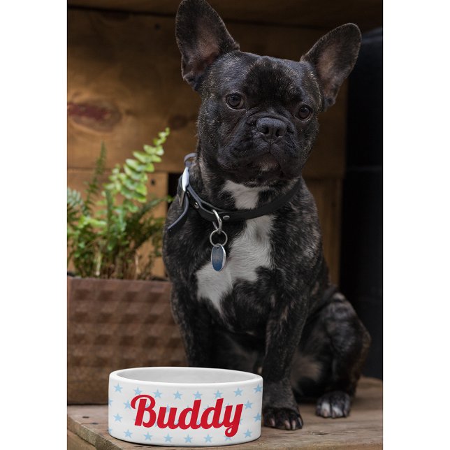 Cute Dog Puppy Cat Kat Pet Name Blue Stars Food Voerbakje (Cute Dog Puppy Cat Kitty Pet Name Blue Stars Food Bowl)