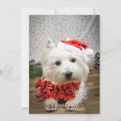 Cute Dog Puppy Merry-kerstkaart Feestdagenkaart (Voorkant)