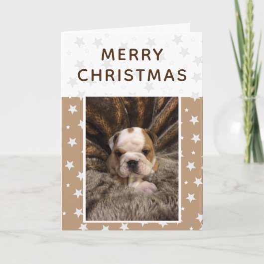 Cute Dog Puppy Photo Stars Merry Kerstmis Feestdagen Kaart (Voorkant)