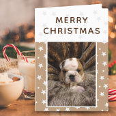 Cute Dog Puppy Photo Stars Merry Kerstmis Feestdagen Kaart