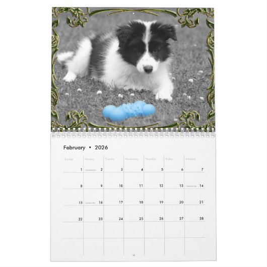 Cute Dog Puppy to Adulthood Kerstmis Kalender (Feb 2026)