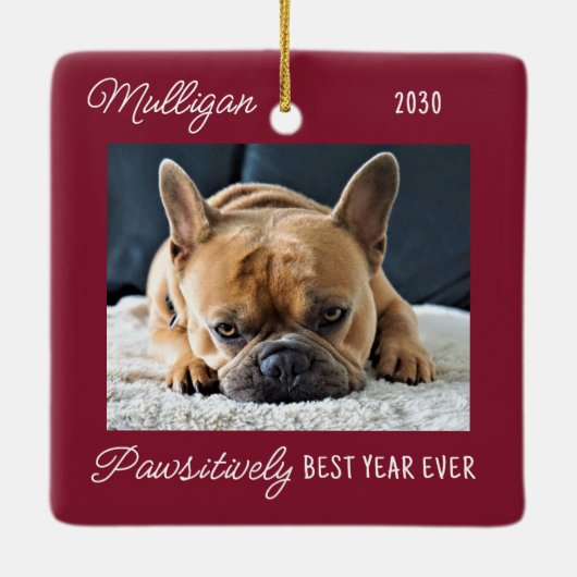 Cute Dog Red Quarantine-kerstfoto Keramisch Ornament (Achterkant)