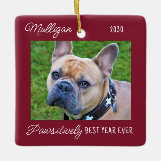 Cute Dog Red Quarantine-kerstfoto Keramisch Ornament (Voorkant)