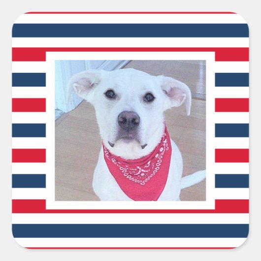 Cute Dog Red White Blue Stripes Patriottic Photo Vierkante Sticker (Voorkant)