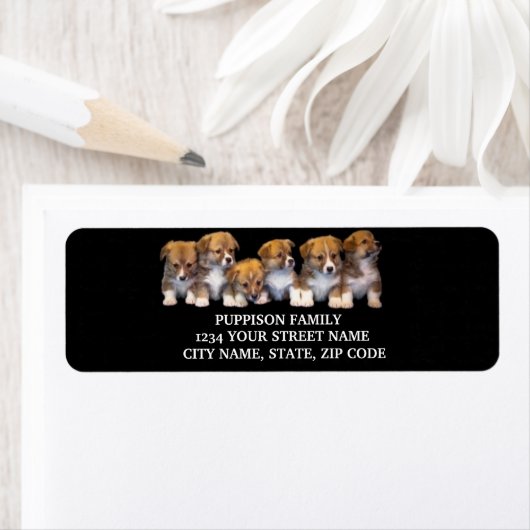 Cute Dog Return Label (Insitu)