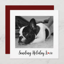 Cute Dog Sending Holiday Love
