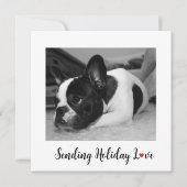 Cute Dog Sending Holiday Love (Voorkant)