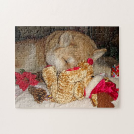 Cute dog slaappelaar teddybeer legpuzzel (Horizontaal)