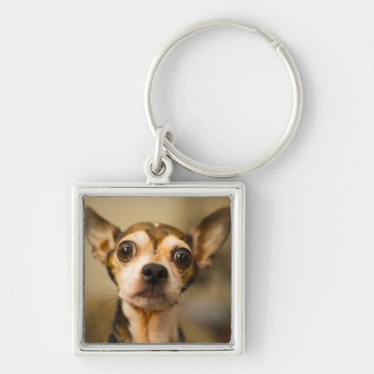 Cute Dog-sleutelketen 10 Sleutelhanger (Voorkant)