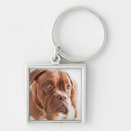 Cute Dog-sleutelketen 11 Sleutelhanger (Voorkant)