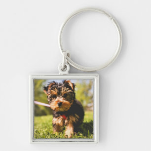 Cute Dog-sleutelketen 5 Sleutelhanger