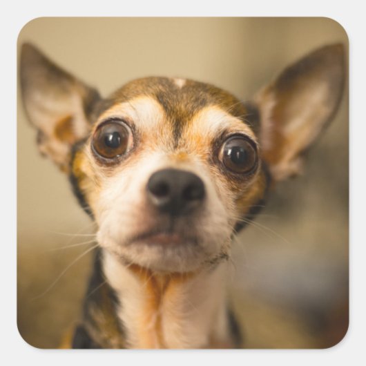 Cute Dog stickers 10 (Voorkant)
