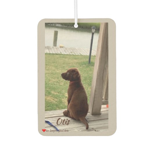 Cute Dog Survey Backyard and Creek Luchtverfrisser (Voorkant)