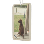 Cute Dog Survey Backyard and Creek Luchtverfrisser (Links)