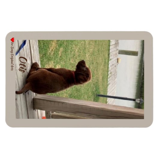 Cute Dog Survey Backyard and Creek Magneet (Horizontaal)