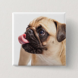 Cute Dog-toets 1 Vierkante Button 5,1 Cm