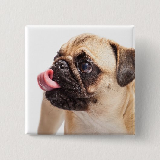 Cute Dog-toets 1 Vierkante Button 5,1 Cm (Voorkant)
