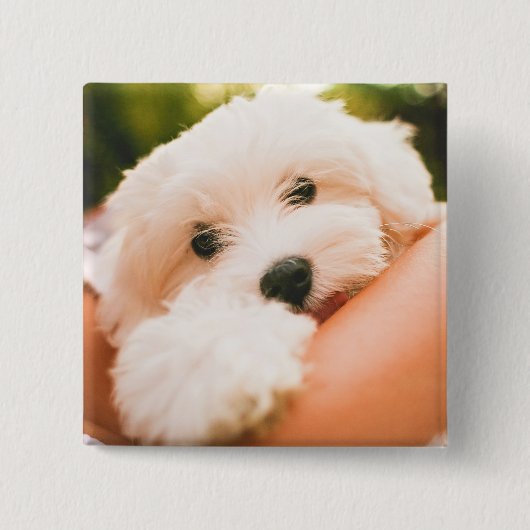 Cute Dog-toets 9 Vierkante Button 5,1 Cm (Voorkant)