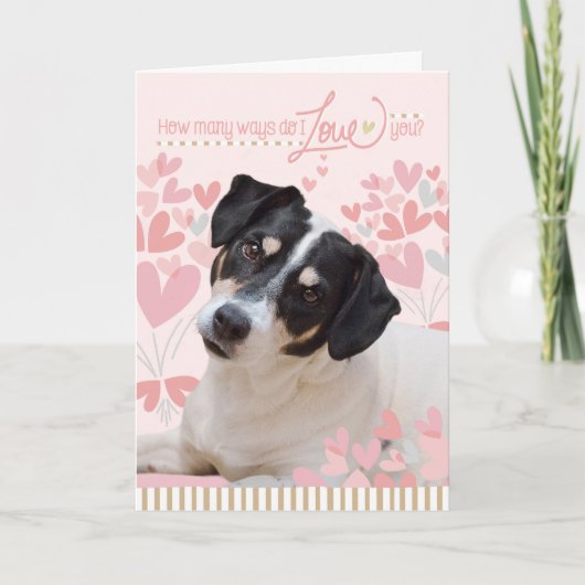 Cute Dog Valentijns Kaart - Hoeveel manieren hou i (Voorkant)