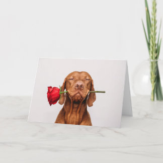 Cute Dog Valentijnsdag Card Feestdagen Kaart