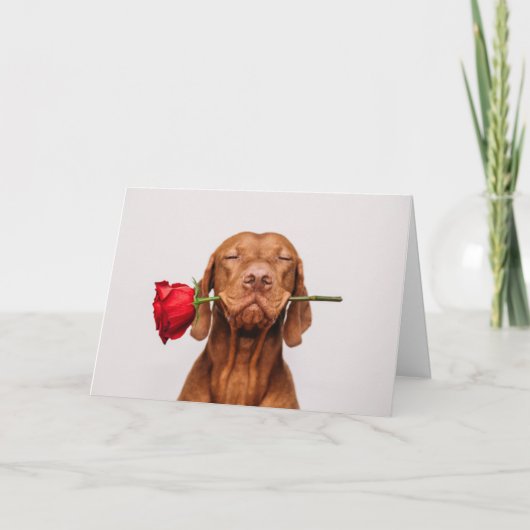 Cute Dog Valentijnsdag Card Feestdagen Kaart (Voorkant)