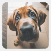 Cute Dog Vierkante Sticker (Voorkant)