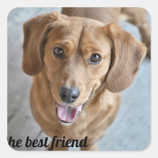Cute Dog Vierkante Sticker (Voorkant)