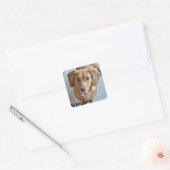 Cute Dog Vierkante Sticker (Envelop)