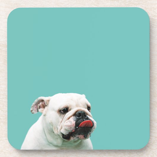 Cute dog white Bulldog Bier Onderzetter (Voorkant)