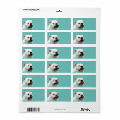 Cute dog white Bulldog Etiket (Full Sheet)