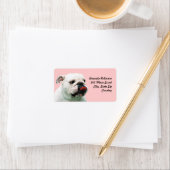 Cute dog white Bulldog Etiket (Insitu)