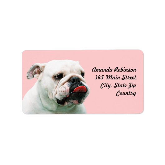 Cute dog white Bulldog Etiket (Voorkant)