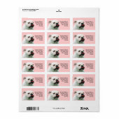 Cute dog white Bulldog Etiket (Full Sheet)