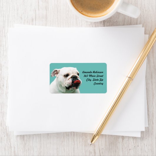 Cute dog white Bulldog Etiket (Insitu)