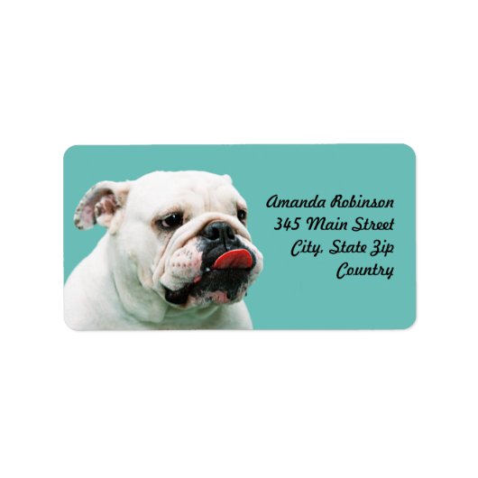 Cute dog white Bulldog Etiket (Voorkant)
