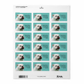 Cute dog white Bulldog Etiket (Full Sheet)