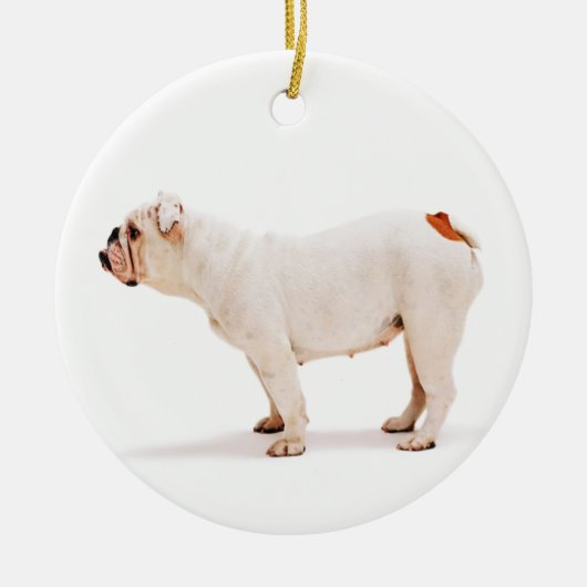 Cute dog white Bulldog Keramisch Ornament (Voorkant)