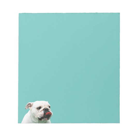 Cute dog white Bulldog Notitieblok (Voorkant)