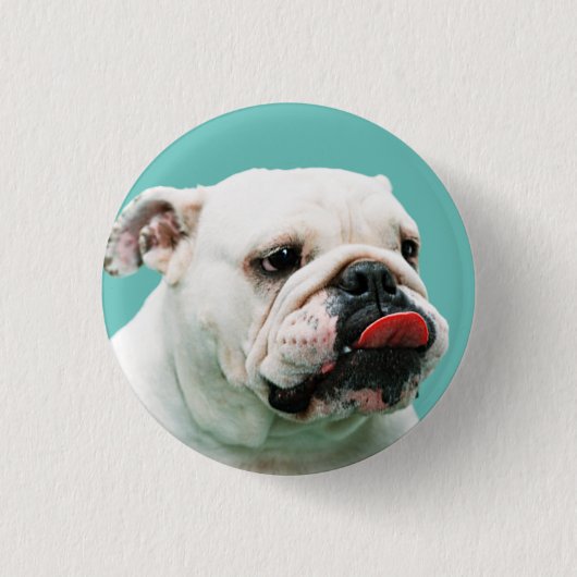 Cute dog white Bulldog Ronde Button 3,2 Cm (Voorkant)