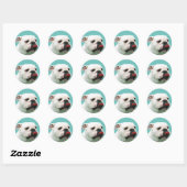 Cute dog white Bulldog Ronde Sticker (Vel)