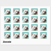 Cute dog white Bulldog Vierkante Sticker (Vel)